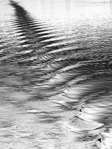 Complex Ship Wake Print in Eidfjord, Norway