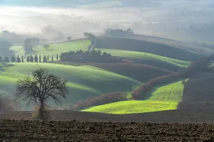 Marche Region Italy Prints: Countryside