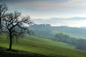 Italian Countryside Landscape Prints: Countryside