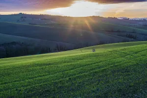 Italian Countryside Landscape Prints: Countryside landscape