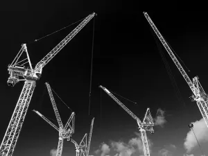 Giant Crane Print