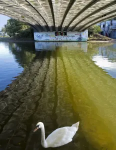River Reflections Print under Donnington Bridge Oxford