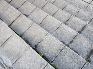Steps Steps (Evolve) Print
