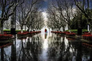 Natural Beauty Images Prints: Walking in the rain