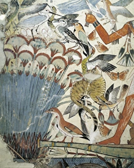 Fresco with hunting scene from Tomb of Nebamun at Thebes, Detail Fresco with hunting scene from Tomb of Nebamun at Thebes, Detail