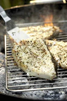 Halibut steaks on barbecue grill, spatula Halibut steaks on barbecue grill, spatula