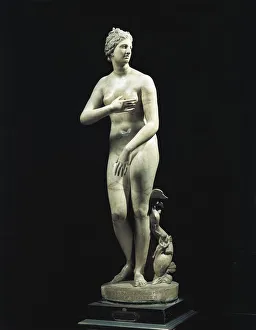 Hellenistic marble statue known as Medici Venus Hellenistic marble statue known as Medici Venus
