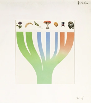Illustration representing simplified scheme of evolution of organisms divided in three groups: plants, protists Illustration representing simplified scheme of evolution of organisms divided in three groups: plants, protists