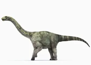 Illustrations 1 Prints: Barapasaurus Side View Print
