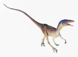 Compsognathus Print