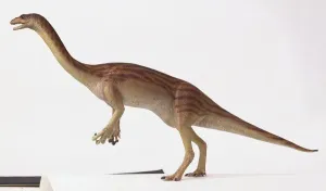 Prehistoric Animals Prints: External features of a Anchisaurus
