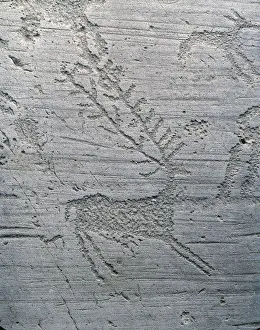 Italy, Lombardy region, Capo di Ponte, Camonica valley, Brescia province, National park of stone carvings of Naquane Italy, Lombardy region, Capo di Ponte, Camonica valley, Brescia province, National park of stone carvings of Naquane