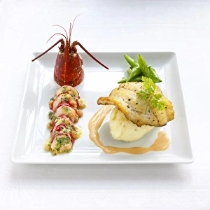 Lobster and turbot served with peas on square white plate Lobster and turbot served with peas on square white plate