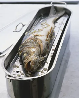 Loup au fenouil, raw whole Sea Bass sprinkled with chopped fennel in metal cooking tin, close up Loup au fenouil, raw whole Sea Bass sprinkled with chopped fennel in metal cooking tin, close up