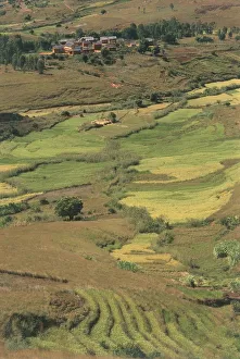 Madagascar, Agricultural landscape between Fianarantsoa and Isalo mountains Madagascar, Agricultural landscape between Fianarantsoa and Isalo mountains
