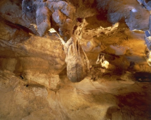 Malta, Birzebbuga, Ghar Dalam cave, Interior Malta, Birzebbuga, Ghar Dalam cave, Interior