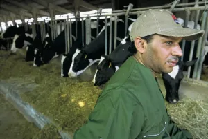 Farmers At Work Prints: Farm