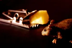 Mousetrap Print (Horizontal)