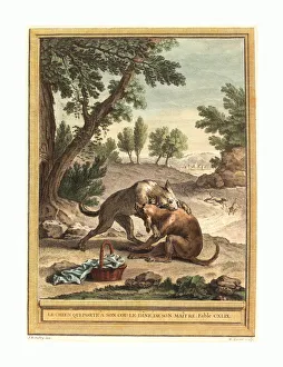 Martin Marvie After Jean-baptiste Oudry (french Martin Marvie After Jean-baptiste Oudry (french
