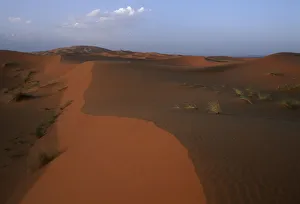 Morocco, Sahara Desert, Merzouga dunes, Sand dunes Morocco, Sahara Desert, Merzouga dunes, Sand dunes