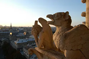 Notre Dame of Paris cathedral gargoyles Notre Dame of Paris cathedral gargoyles