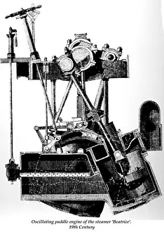 Oscillating paddle engine of the steamer Beatrice