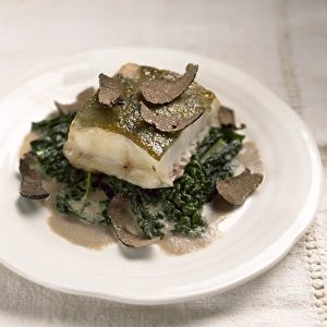 Pan-fried turbot with truffles and savoy cabbage, close-up Pan-fried turbot with truffles and savoy cabbage, close-up