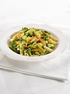 Penne primavera, spring green vegetable pasta, close-up Penne primavera, spring green vegetable pasta, close-up