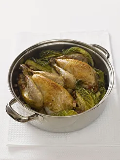 Pot-roast guineafowl with savoy cabbage and walnuts, high angle view Pot-roast guineafowl with savoy cabbage and walnuts, high angle view