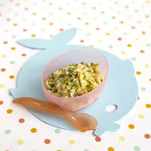 Pureed plaice with cheesy vegetable sauce, containing carrots and broccoli, served in plastic bowl, with spoon Pureed plaice with cheesy vegetable sauce, containing carrots and broccoli, served in plastic bowl, with spoon