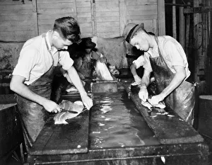 Salmon processing plant, Seattle, Washington Salmon processing plant, Seattle, Washington