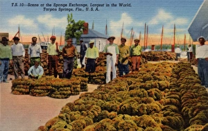 Scene at the Sponge Exchange, Largest in the World, Tarpon Springs, Florida, USA Scene at the Sponge Exchange, Largest in the World, Tarpon Springs, Florida, USA