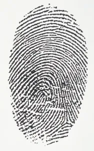 Fingerprint Print in Black and White