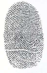 Science And Technology Prints: Fingerprint Print in Black and White