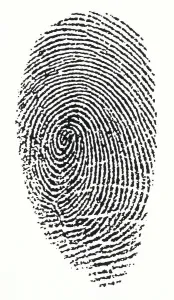 Fingerprint Print in Black and White