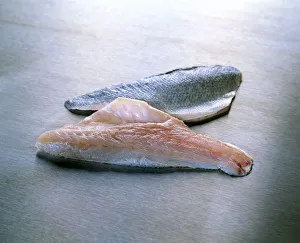 Sea bass fillets on kitchen worktop, close-up Sea bass fillets on kitchen worktop, close-up