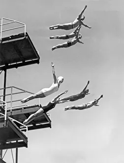 Seven Champion Diving In LA Seven Champion Diving In LA