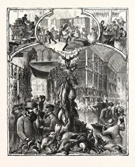 The Shooting Season, Game in the London Markets, Engraving 1876, Uk, Britain, British
