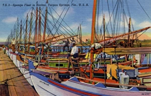 Sponge Fleet in Harbor, Tarpon Springs, Florida Sponge Fleet in Harbor, Tarpon Springs, Florida