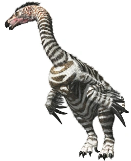 Therizinosaurus, scythe lizard, ofside view Therizinosaurus, scythe lizard, ofside view