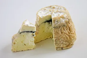 Truncated cylinder and slice of American Larzac goats cheese Truncated cylinder and slice of American Larzac goats cheese