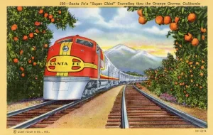 Prints of Santa Fes Super Chief Traveling Thru the Orange Groves, California Postcard. ca. 1940, Santa Fes Super Chief Traveling Thru the Orange Groves, California Postcard Vintage Postcard Prints: Santa Fe's Super Chief Traveling Print