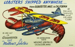 Prints of Mellows Lobsters Airplane. Ca. 1948, Lobsters Shipped Anywhere from Gloucester, Mass to California to Private Families and Exclusive Clubs. in and out of Gloucester Eat Mellows Lobsters Vintage Postcard Prints: Mellows Lobsters Airplane Print