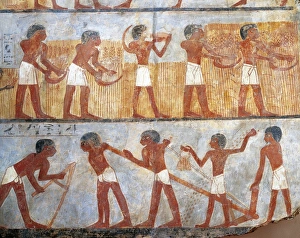 Wall painting depicting sowing and harvesting scene, from the tomb of Onsu at west Thebes, close-up Wall painting depicting sowing and harvesting scene, from the tomb of Onsu at west Thebes, close-up