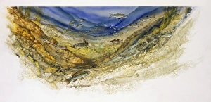 Watercolour painting of underwater showing typical fish of a large lake or pond, with perch, arctic char, muskellunge Watercolour painting of underwater showing typical fish of a large lake or pond, with perch, arctic char, muskellunge