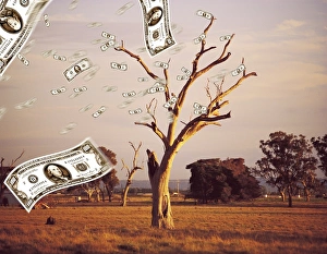 100 dollar bill, Abundance, Business, Colin Anderson, Concepts, Currency, Field, Finance 100 dollar bill, Abundance, Business, Colin Anderson, Concepts, Currency, Field, Finance