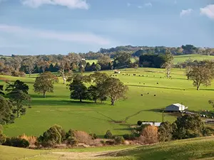Australian Scenic Landscapes Prints: Adelaide Hills