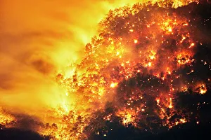 Aerial view of Fire, Forest Fire, Bushfire in valley, Blue Mountains, Australia Aerial view of Fire, Forest Fire, Bushfire in valley, Blue Mountains, Australia