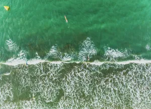 Aerial View Of Waves Splashing On Beach and People Surfing, Auckland, New Zealand Aerial View Of Waves Splashing On Beach and People Surfing, Auckland, New Zealand