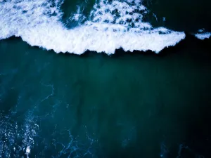 Cronulla Wave Top Down Print